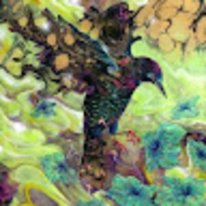 Meet your Posher, Derek